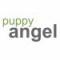Puppy Angel